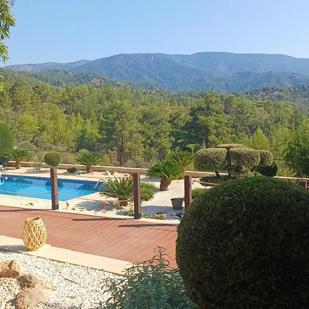 Tranquility In The Mountains * Pera Pedi